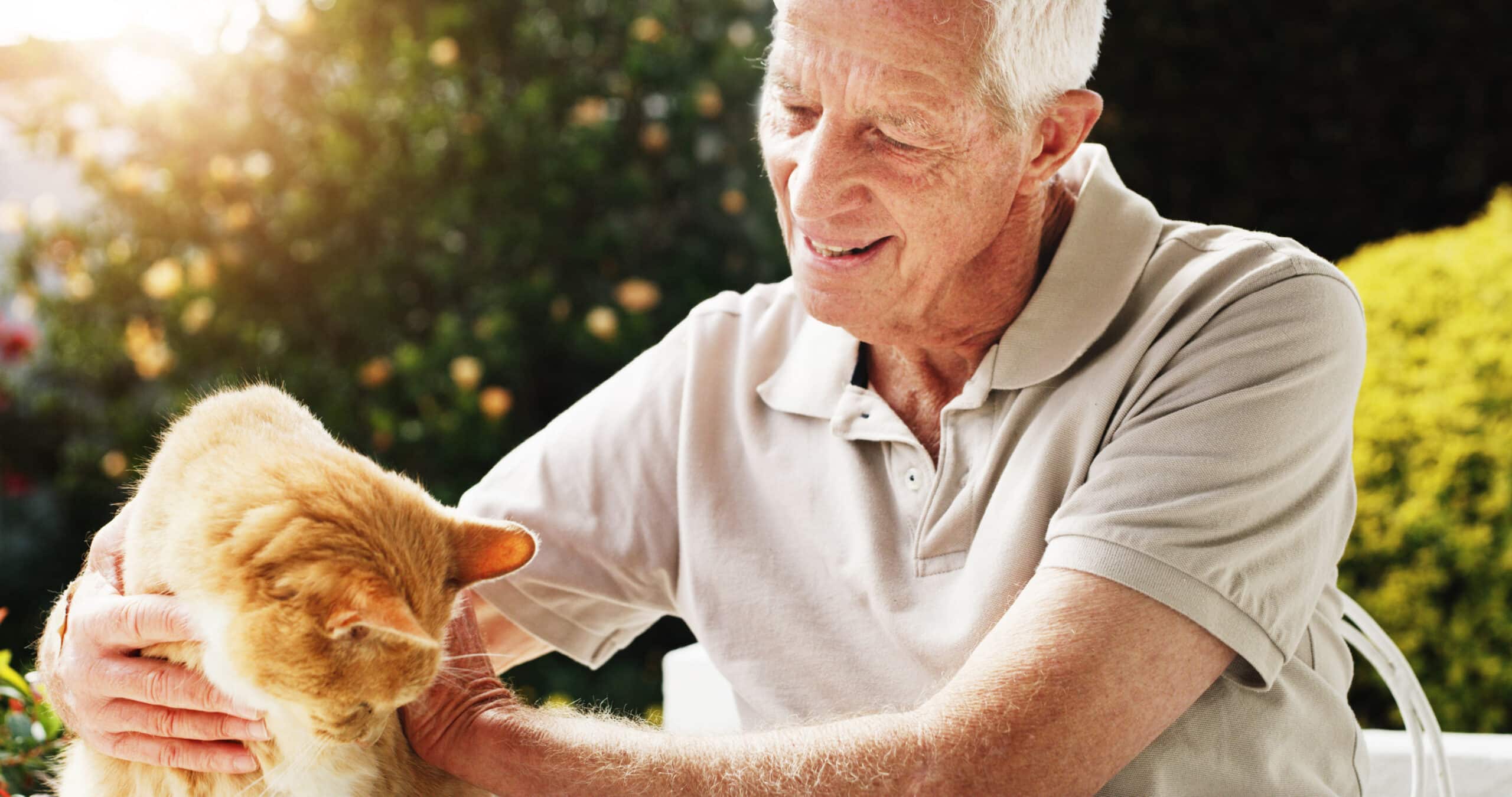 animali domestici consigliati agli anziani