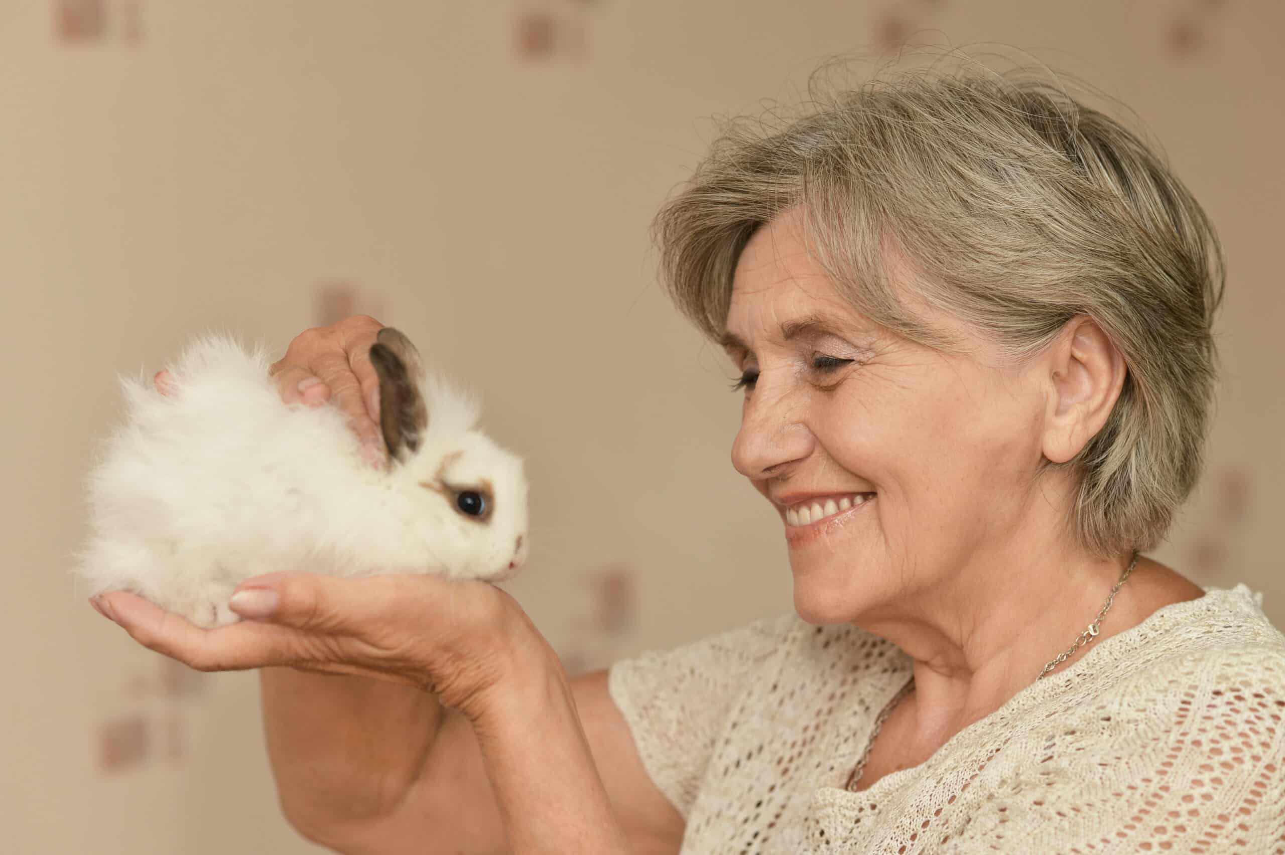 animale domestico adatto agli anziani